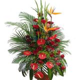 Ȫʻٵ